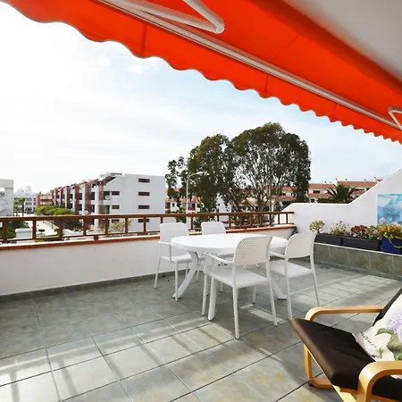 Primavera بلايا ذي لاس أميريكاس